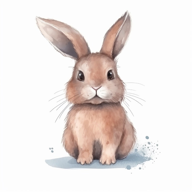 Bunny Design Bundle, Rabbit Illustration Bundle, Crafting Bundle ...