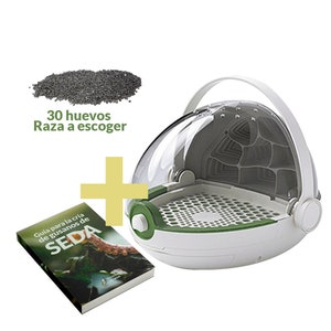 Pack observatorio para insectos Incluye 30 huevos gusanos de seda kit aprendizaje niños sobre proceso metamorfosis regalo ideal modular imagen 1