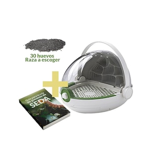 Insect Observatory Pack - Includes 30 Silkworm Eggs - Learning Kit for Kids on Metamorphosis Process - Ideal Gift - Modular