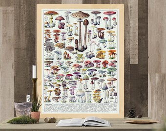 Vintage Mushroom Poster | Cottagecore Decor, Antique French Science Art, Nature Art, Champignons Fungi Chart, Fine Art Print c. 1913