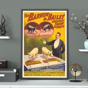 Vintage Circus Poster ~ Barnum & Bailey: Trained Pigs | Circus Wall Art, Antique Circus Poster, Retro Circus Wall Art, Home / Office Decor