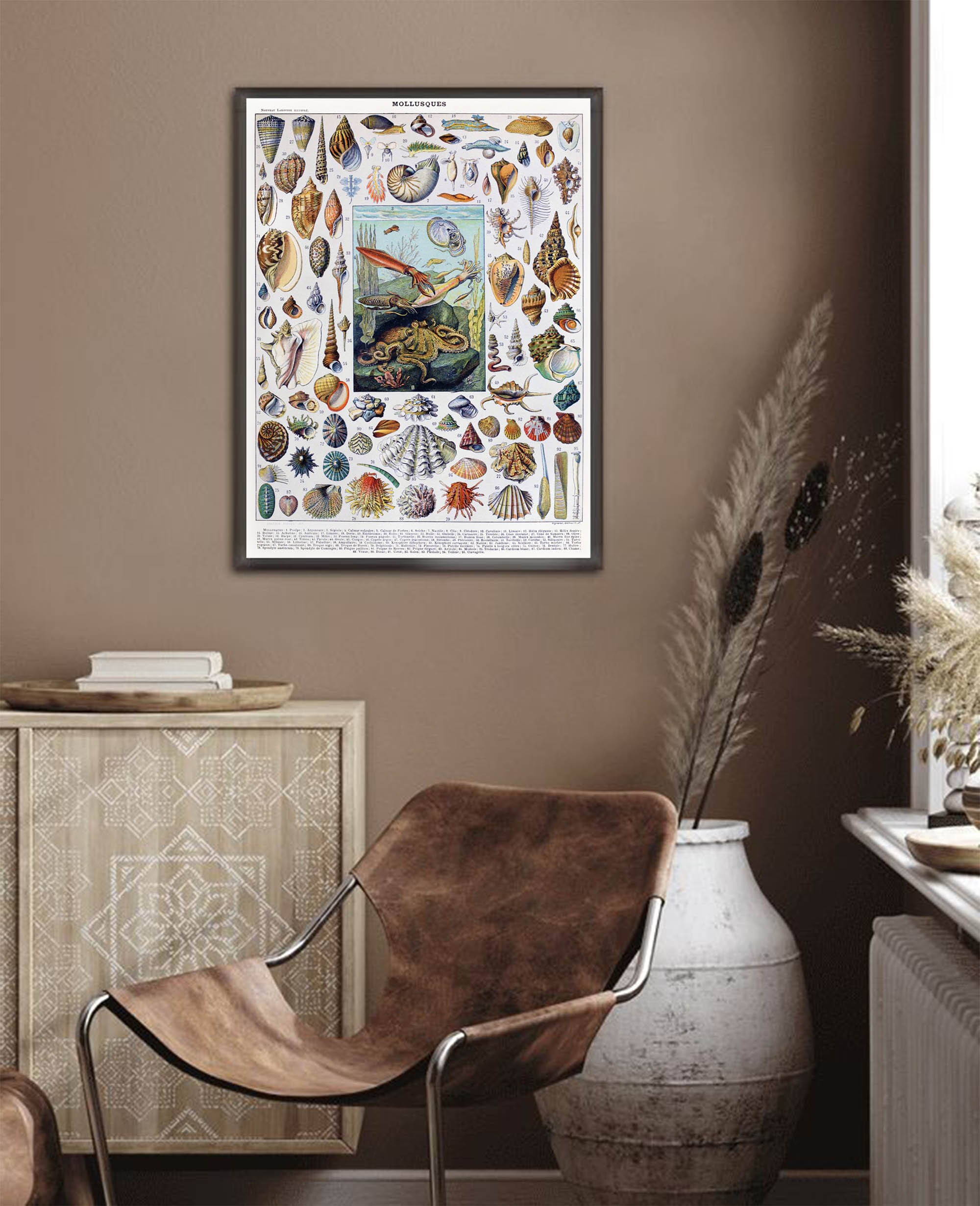 Sea Shell Poster Print Marine Life, Oceanography, Cottagecore Room ...