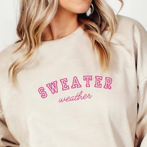 Sudadera rosa para el clima, camisa de temporada de otoño, suéter de otoño, cuello redondo de otoño, camisa acogedora, regalo para amantes del otoño, lindo regalo de otoño, temporada de calabazas