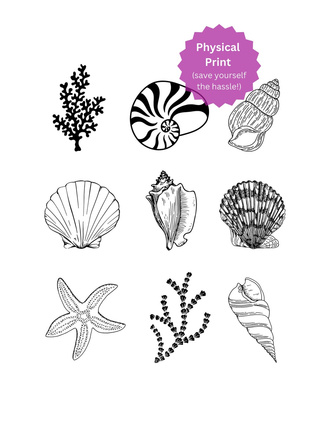 Shell Print Black and White, Sea Shell Art, Elegant Beach Decor