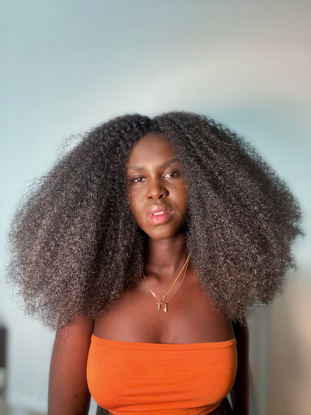 Long Afro Wig 4B/4C Hair Etsy