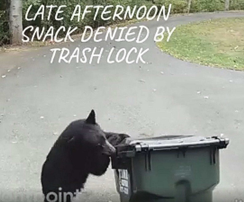 Original Trash Lock Set of Two Original, Keep Raccoons, Bears, Rats and