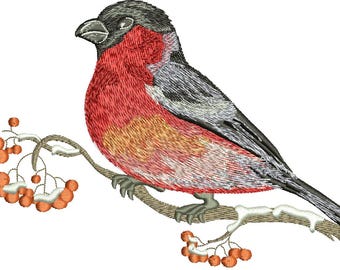 ciuffolotto su rami di sorbo Disegno per ricamo a macchina, questo non è un prodotto reale, questi sono file digitali