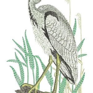 May include: A gray heron with a yellow beak and black head feathers stands on a branch with green reeds behind it.