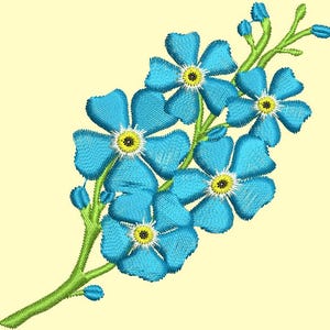 May include: A cluster of blue forget-me-not flowers with yellow centres bloom on a green stem. The flowers are arranged in a delicate, cascading pattern.