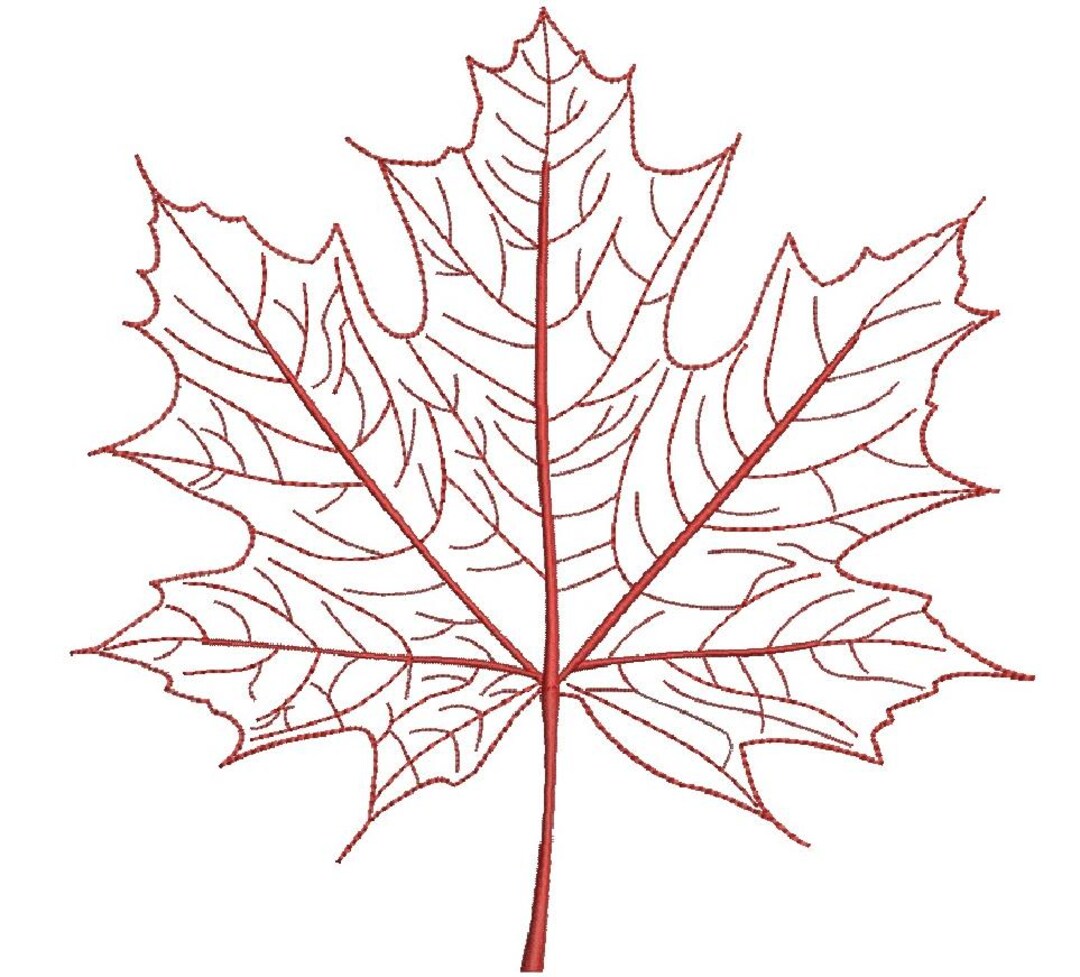 Sugar Maple Leaf Machine Embroidery Design Autumn Fall 4 Sizes - Etsy