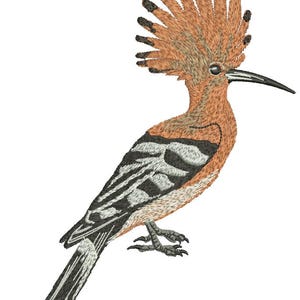 May include: A brown and white hoopoe bird with a long, pointed beak and a distinctive crest of feathers on its head. The bird is perched on a branch with its wings folded.