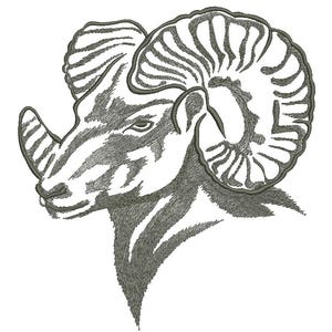 May include: A detailed grayscale illustration of a ram's head, showcasing intricate line work. The ram's curved horns and facial features are prominently displayed against a white background. The artwork has a textured appearance.