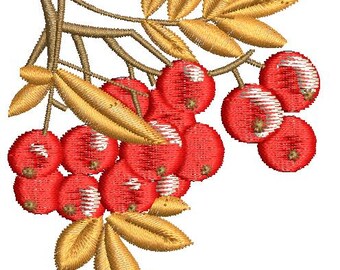 Disegno per ricamo a macchina con ramo di sorbo, questo non è un prodotto reale, questi sono file digitali