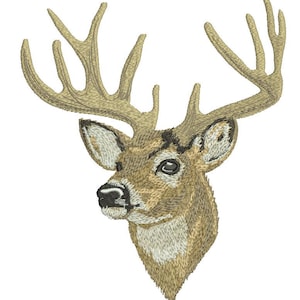 May include: A close-up of a whitetail deer buck's head with large antlers. The deer has a brown and white coat and a black nose.