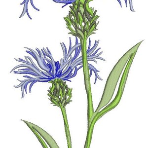 May include: An embroidered design of two cornflower blossoms. The flowers are a mix of light and dark blue, with green stems and leaves. The design is on a white background.