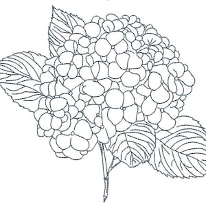Puede incluir: Un dibujo lineal detallado de una flor de hortensia con múltiples racimos de pequeños pétalos redondos. La imagen incluye hojas grandes y texturizadas y un tallo, todo renderizado en un solo color sobre un fondo blanco. El diseño es adecuado para bordados o artesanías similares.