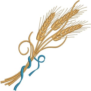 May include: A bundle of wheat stalks tied together with a blue ribbon. The wheat is a golden color and the ribbon is a bright blue.