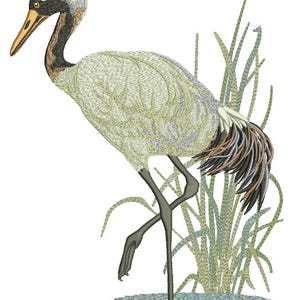 May include: A white crane with a red crown and black neck stands on one leg in a patch of green grass.