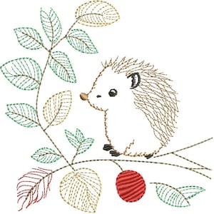 hedgehog  Machine Embroidery design, this is not a real product, These are digital files