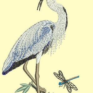 May include: A blue and gray heron with a long, thin beak stands on a branch with a blue dragonfly flying nearby.