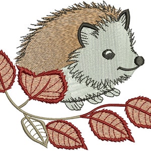 hedgehog  Machine Embroidery design, this is not a real product, These are digital files