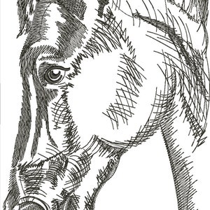 horse Machine Embroidery design, this is not a real product, These are digital files