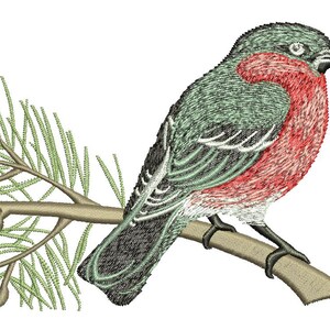 May include: An embroidered image of a bird perched on a branch with green pine needles. The bird has a red breast, a green head and back, and black and white accents on its wings. The branch is brown.