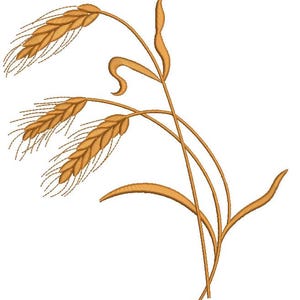 Pode incluir: Ilustração detalhada de espigas de trigo em tons de ouro e castanho sobre fundo branco. A imagem apresenta três espigas de trigo com detalhes em forma de bigodes e caules curvos com folhas.