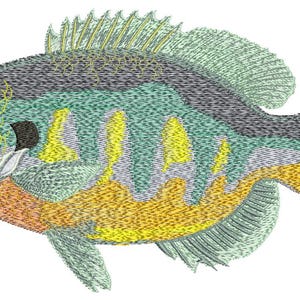 May include: An embroidered image of a bluegill fish. The fish features a mix of colors, including blue, green, yellow, and orange. The fish's body has a detailed, textured appearance, with visible scales and fins.