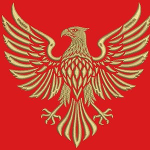 May include: Gold embroidered eagle design with outstretched wings on a red background. The eagle features detailed feathering and a sharp beak, creating a regal and detailed emblem. The design is symmetrical and centered, suitable for apparel or decorative items.
