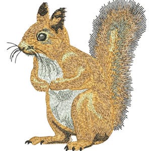 May include: A brown and white squirrel with a bushy tail. The squirrel is standing on all fours and looking to the left.