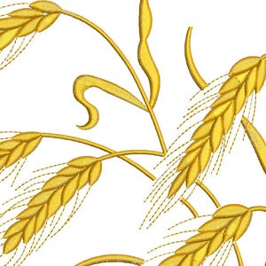 Op de afbeelding: Een gestileerde illustratie van tarwehalmen in een gouden gele kleur. De tarwehalmen zijn in een decoratief patroon gerangschikt, met de toppen van de halmen die in verschillende richtingen wijzen.