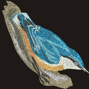 May include: A blue and brown bird with a white stripe on its eye perched on a branch. The bird is facing to the right and has its wings folded.