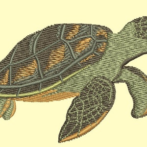 May include: A green sea turtle with a brown and orange shell. The turtle is swimming with its head up and its flippers outstretched.