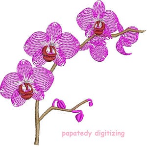 Peut inclure: Image brodée d'une branche d'orchidées roses avec des tiges et des bourgeons bruns. Les pétales d'orchidées ont une texture rayée et un centre rouge foncé. Le texte "papatedy digitizing" est en bas.