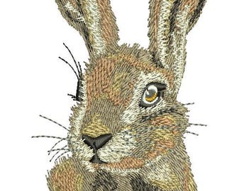 Peut inclure: Un gros plan sur le visage d'un lapin brun avec de grandes oreilles. Le lapin a une tache blanche sur le nez et un nez noir.