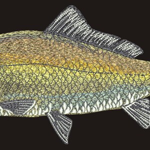 Op de afbeelding: Geborduurde visillustratie met een gedetailleerd ontwerp. De vis heeft een gele, groene en blauwe body met een textuur schubbenpatroon. De vinnen en staart zijn wit en grijs, tegen een zwarte achtergrond.