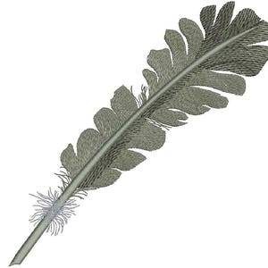 Feather  Machine Embroidery design, this is not a real product, These are digital files
