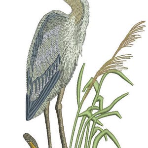 May include: A gray heron with a long, yellow beak stands on a branch with green reeds behind it. A small red ladybug is on the branch.