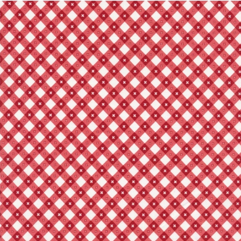 May include: Red and white checkered pattern background. The pattern is made up of small squares, with red squares alternating with white squares.