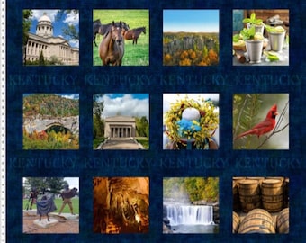 TELA - Paneles "KY Shop Hop" de In The Beginning. 36" x 44".. Cada bloque mide aproximadamente 8". 100% algodón. *Precio = 12.75/yarda.