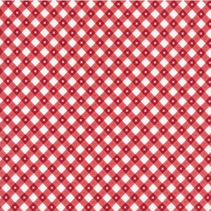 May include: Red and white checkered pattern background. The pattern is made up of small squares, with red squares alternating with white squares.