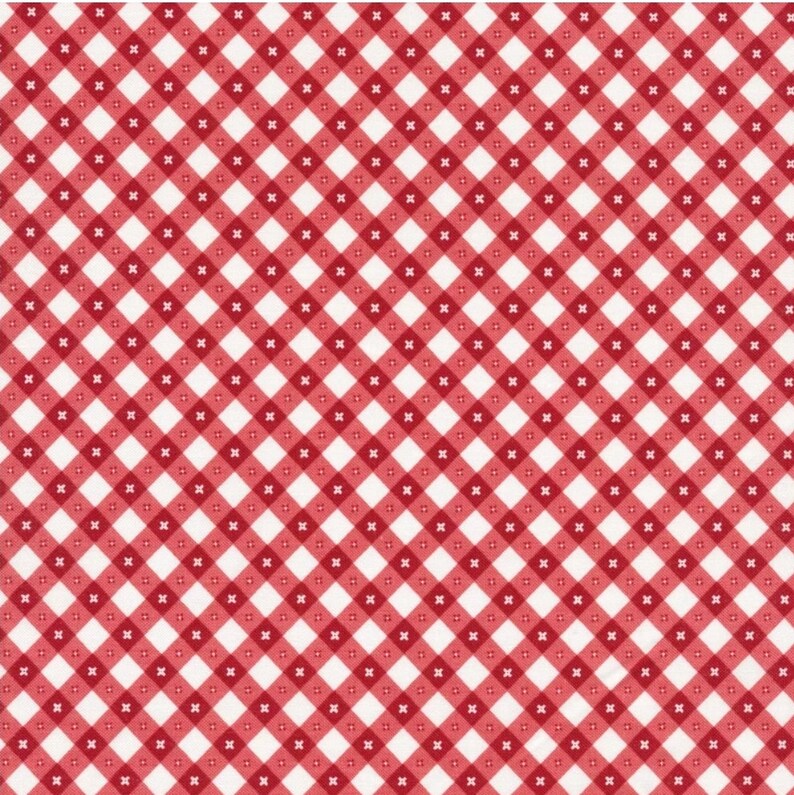 May include: Red and white checkered pattern background. The pattern is made up of small squares, with red squares alternating with white squares.