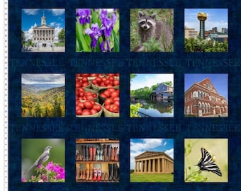 TELA - Panel de tela "In the Beginning" de TN Shop Hop. 91 x 112 cm. Bloques de aproximadamente 20 cm de ancho. 100 % algodón. *Precio: 12,75/yd. *Cantidad: 3 yd.