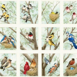 Puede incluir: Un panel de tela con ilustraciones en acuarela de varios pájaros posados en ramas de árboles. Las aves se representan en sus hábitats naturales, con nidos y follaje. El panel muestra una variedad de especies de aves en colores vibrantes.