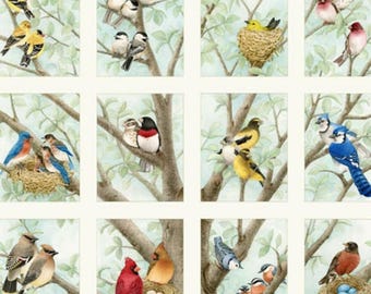 TELA: Elizabeth's Studio "Beautiful Birds 24" Block Panel" de Tracy Lizotte. 61 x 109 cm. 100 % algodón. *PRECIO: 8,45/panel. Cantidad: 20 paneles.