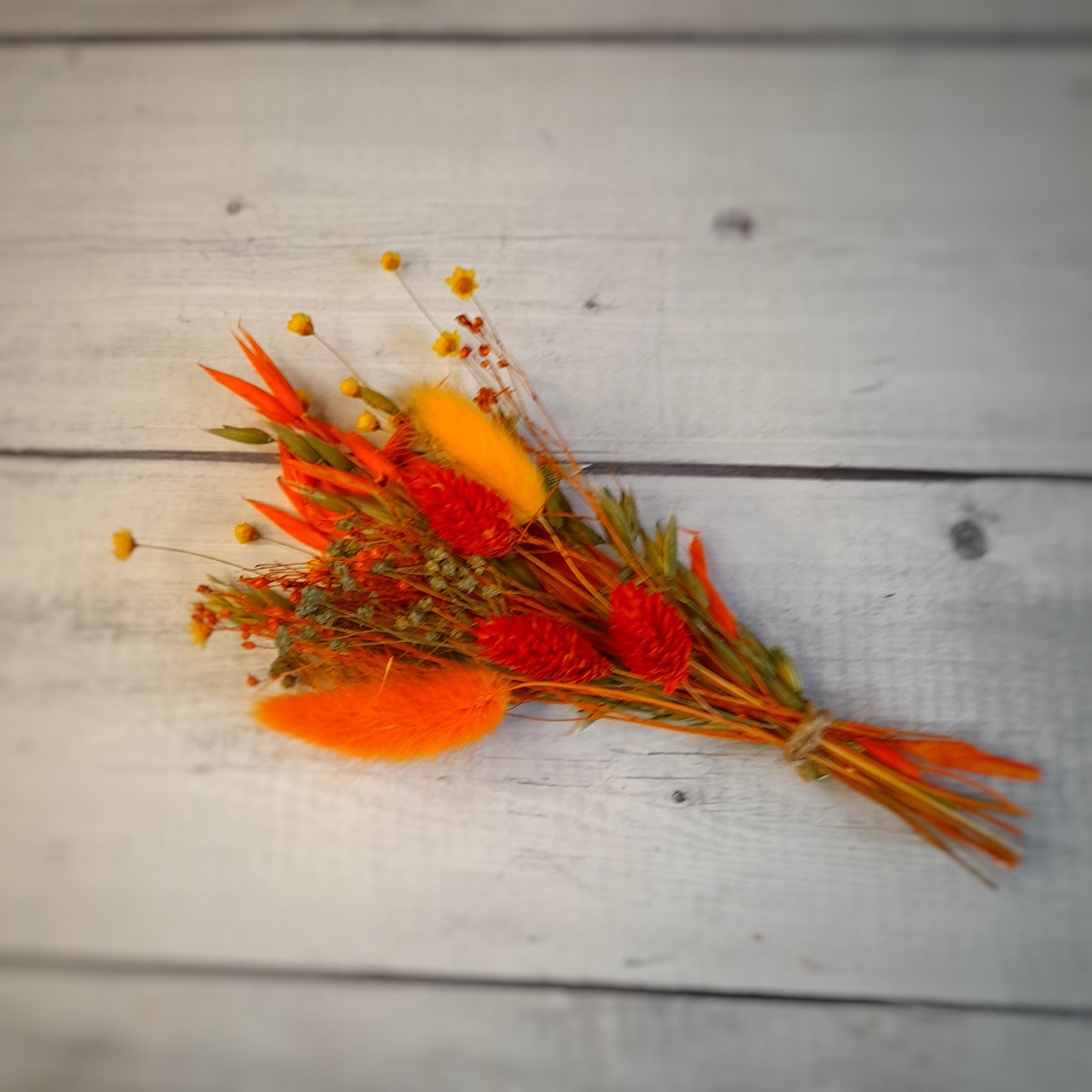 Letterbox Dried Flowers Burnt Orange Dried Flower Etsy UK