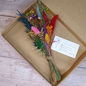 Letterbox Dried Flowers | Rainbow Dried Flower Arrangement | Gift |Letterbox Gift | Pride Gift | Birthday Gift | Rainbow Gift