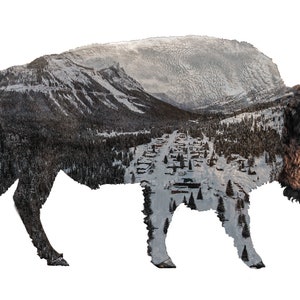 Mountain Buffalo Digital Print