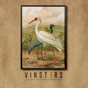Birds 2 | Poster | Vintage Art Print | Stile retrò | Stampa digitale | Download diretto